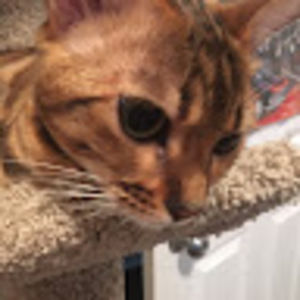 Meet your Posher, Bianca